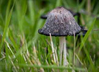 How to Find the Best Lawyers & Attorneys in San Jose, California, US How to Find the Best Lawyers & Attorneys in San Jose, California, US