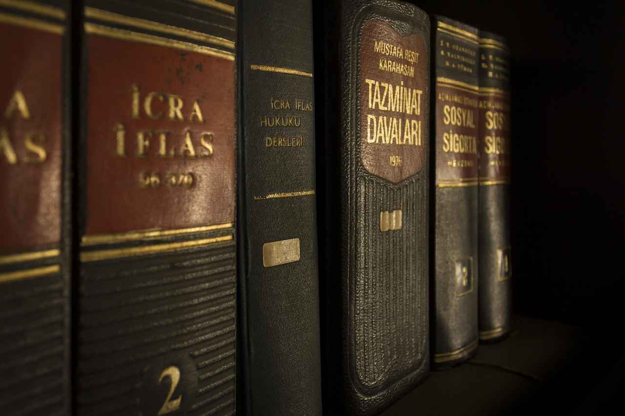Theft and Burglary: Legal Representation in Criminal Cases