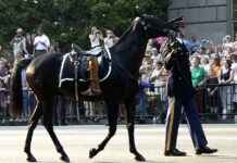 How to Find the Best Lawyers & Attorneys in Washington, DC, US How to Find the Best Lawyers & Attorneys in Washington, DC, US