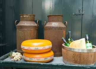 How to Find the Best Phone Holder Near Me How to Find the Best Phone Holder Near Me