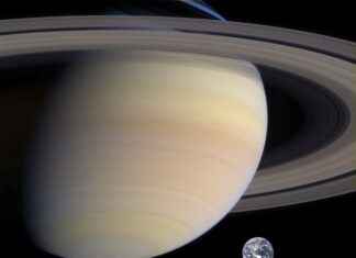 How to Find Your Perfect Ring Size Without Visiting a Jeweler How to Find Your Perfect Ring Size Without Visiting a Jeweler