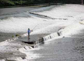 How to Fix a Burnt Coil: Signs, Prevention & Replacement Tips How to Fix a Burnt Coil: Signs, Prevention & Replacement Tips