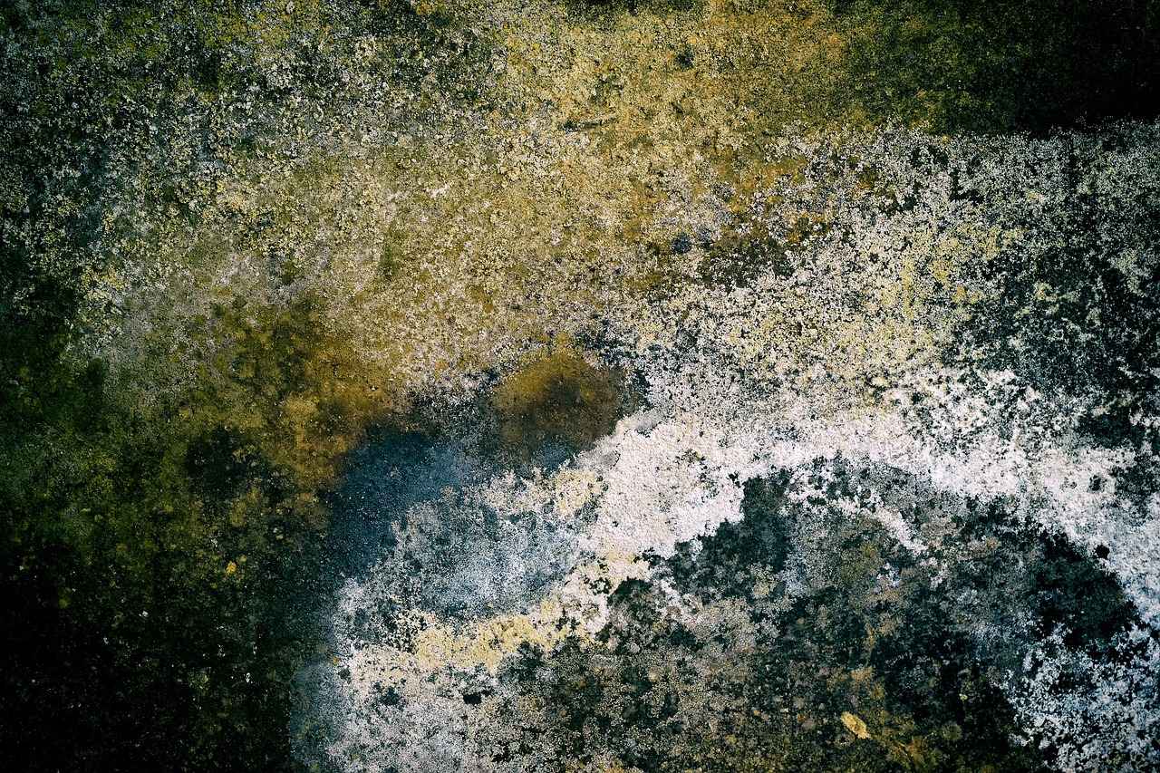 How to Fix a Burnt Coil: Signs, Prevention & Replacement Tips 7 Where to Find Quality Replacement Coils?