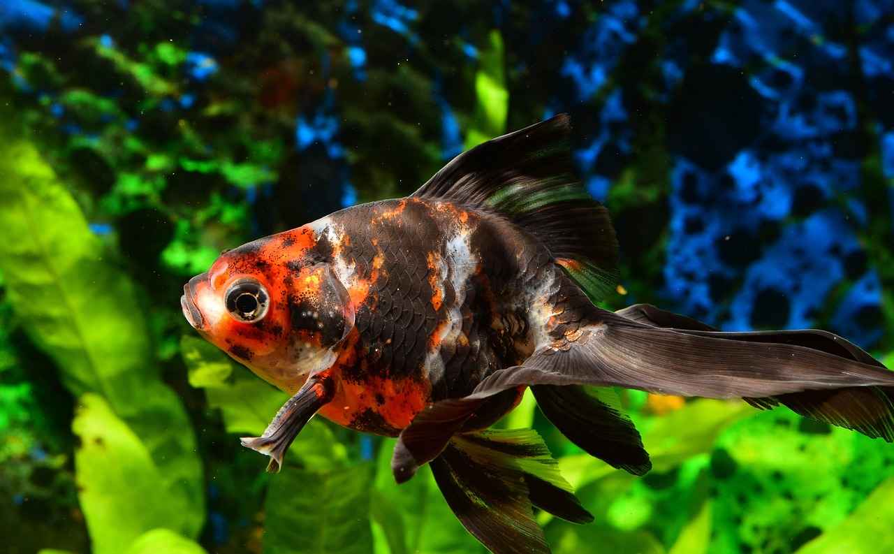 How to Fix Spitback Issues in Your Vape Tank 4 What to Do When Spitback Occurs