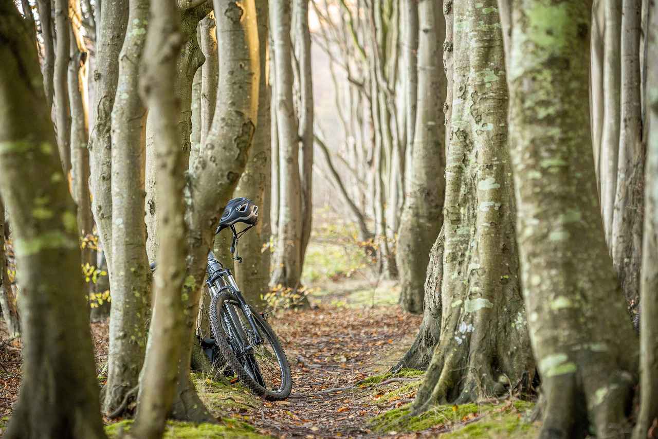 Maintaining Your Electric Bike Battery