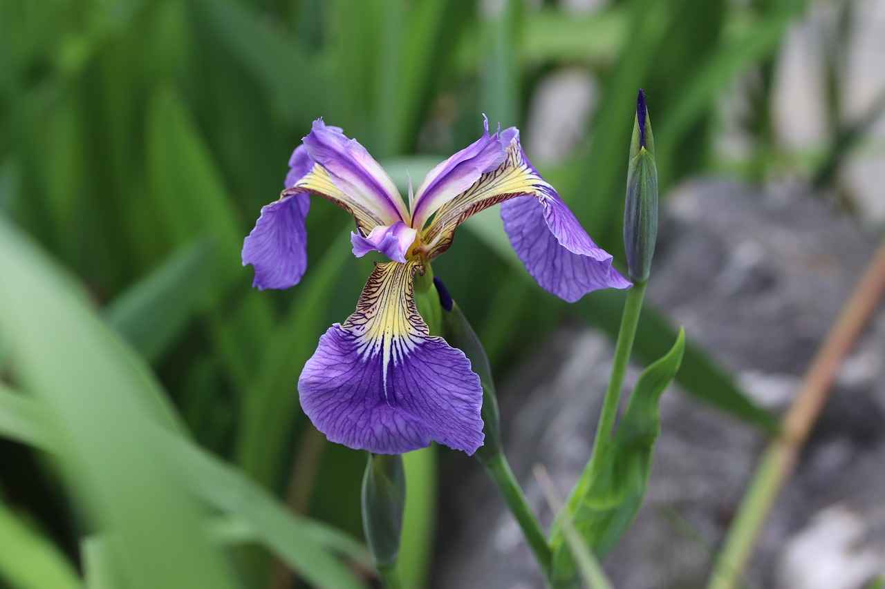 Calculating Your Debt-to-Income Ratio