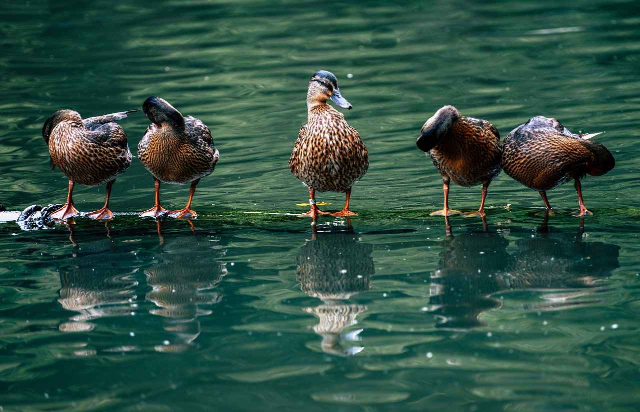 Applying for a Personal Loan