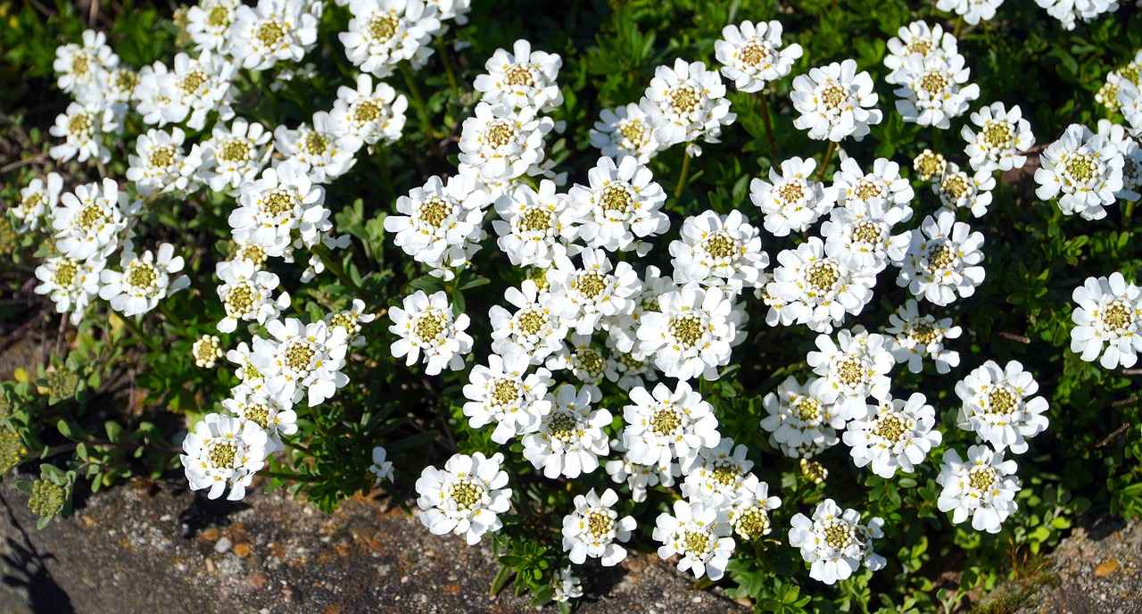 Popular Headrest Cushion Styles