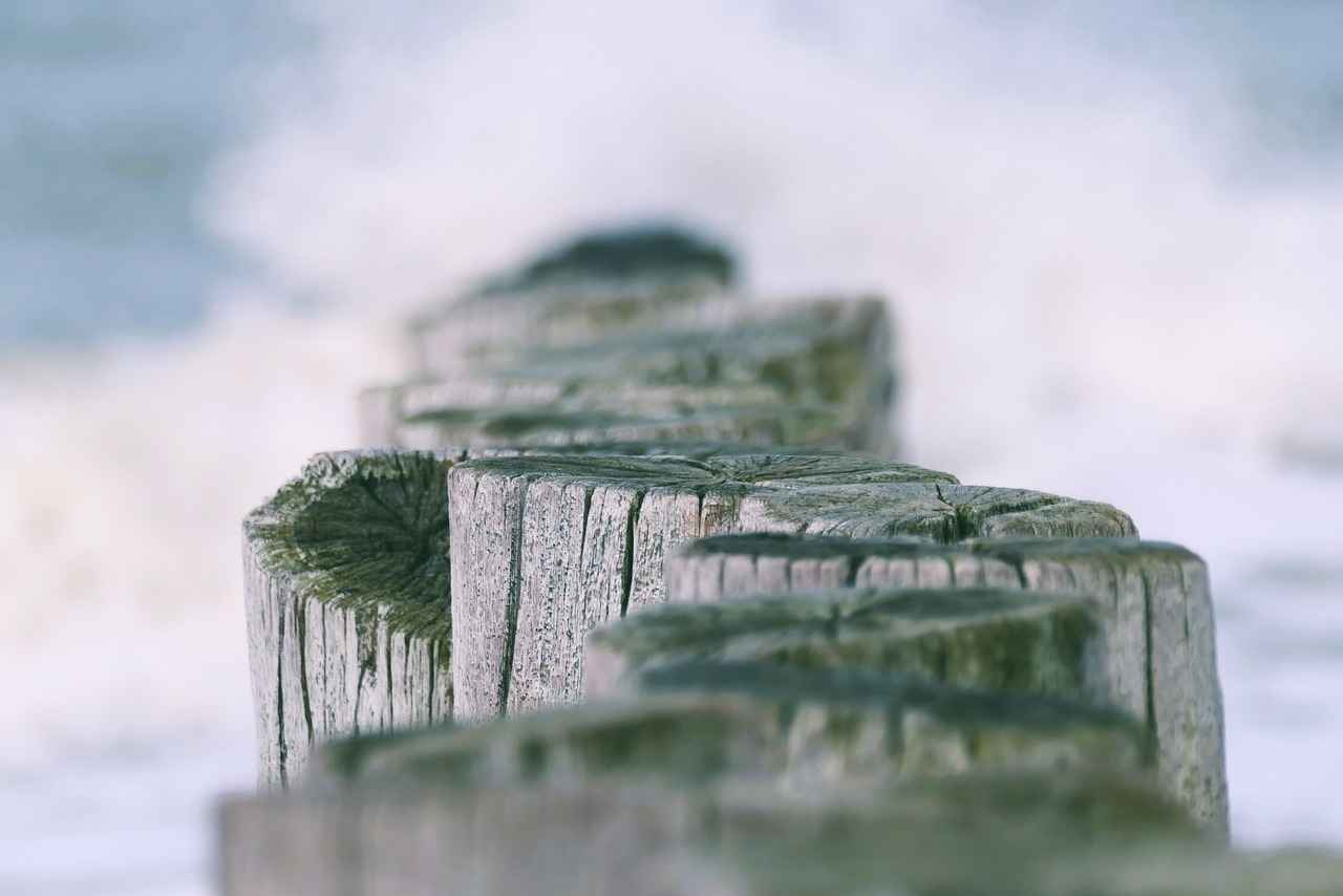 How to Lose Water Weight Overnight: Fast and Effective Methods 2 Why Do We Retain Water?