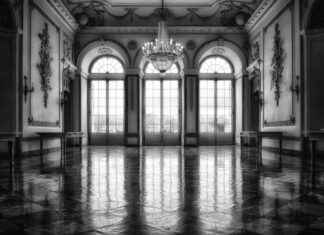 How to Make a Modern Minimalist Room Divider (Easy DIY Guide) How to Make a Modern Minimalist Room Divider (Easy DIY Guide)