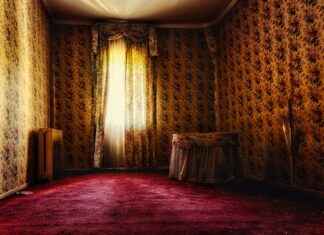 How to Make a Room Divider with Recycled Cardboard (Zero-Cost Idea!) How to Make a Room Divider with Recycled Cardboard (Zero-Cost Idea!)