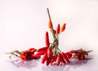 How to Make Meal Prep Easier with the Best Vegetable Choppers How to Make Meal Prep Easier with the Best Vegetable Choppers