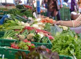 How to Make Perfect Veggie Slices with the Right Vegetable Chopper How to Make Perfect Veggie Slices with the Right Vegetable Chopper