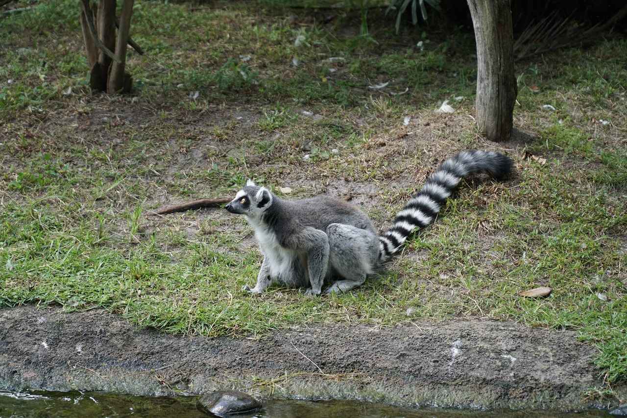 How to Mix and Match Stackable Rings for a Trendy Look 7 Final Thoughts on Stackable Rings