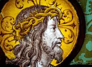 How to Navigate Loan Forgiveness Programs: Everything You Need to Know How to Navigate Loan Forgiveness Programs: Everything You Need to Know