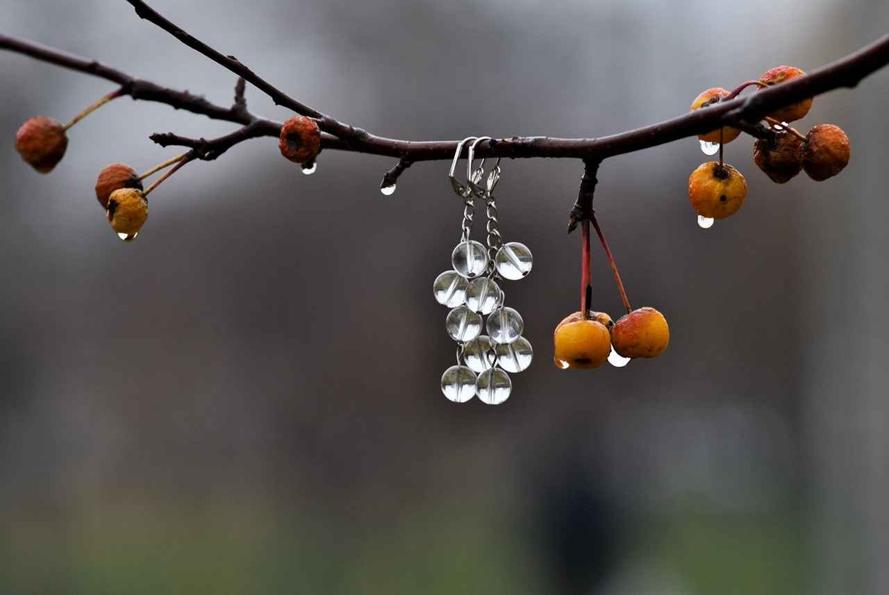 How to Organize and Store Your Earring Collection 1 Understanding Different Earring Types