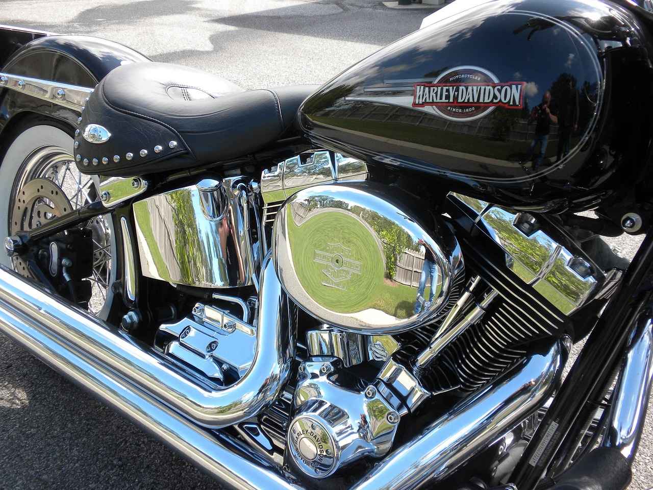 How to Pick the Best Vegetable Chopper for Your Home Cooking Needs 3 Size and Capacity