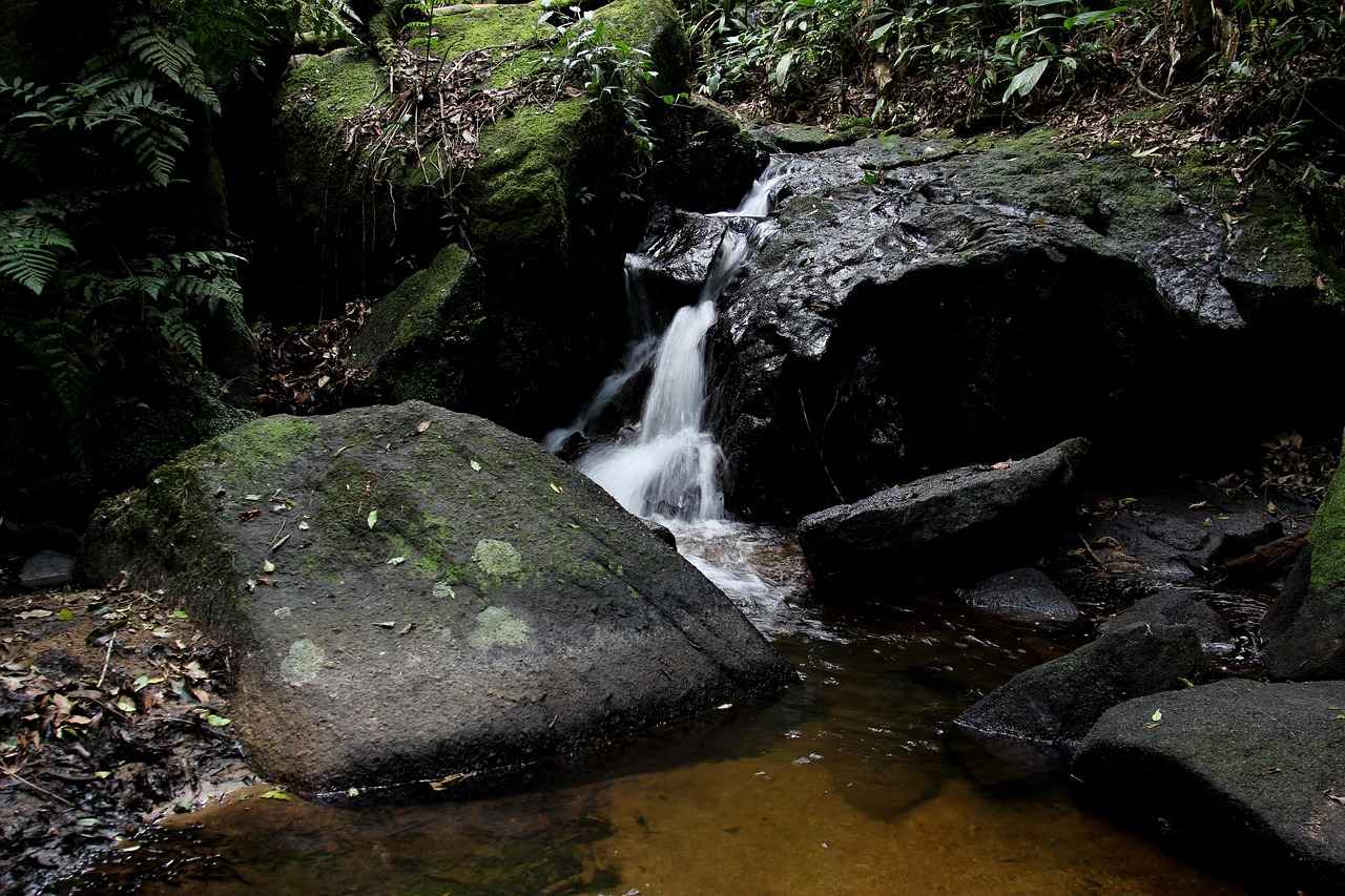 How to Properly Inhale When Vaping: MTL vs. DTL Explained 10 How to Maintain Your Vaping Device for Optimal Performance