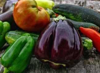 Pokémon’lerin Dünyası: En Sevilen Canavarlara Derin Bir Bakış Pokémon'lerin Dünyası: En Sevilen Canavarlara Derin Bir Bakış