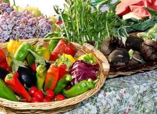 How to Properly Use and Clean Your Vegetable Chopper # How to Properly Use and Clean Your Vegetable Chopper How to Properly Use and Clean Your Vegetable Chopper # How to Properly Use and Clean Your Vegetable Chopper