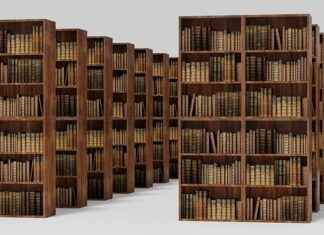 How to Repurpose Bookshelves as Room Dividers (DIY Guide) How to Repurpose Bookshelves as Room Dividers (DIY Guide)