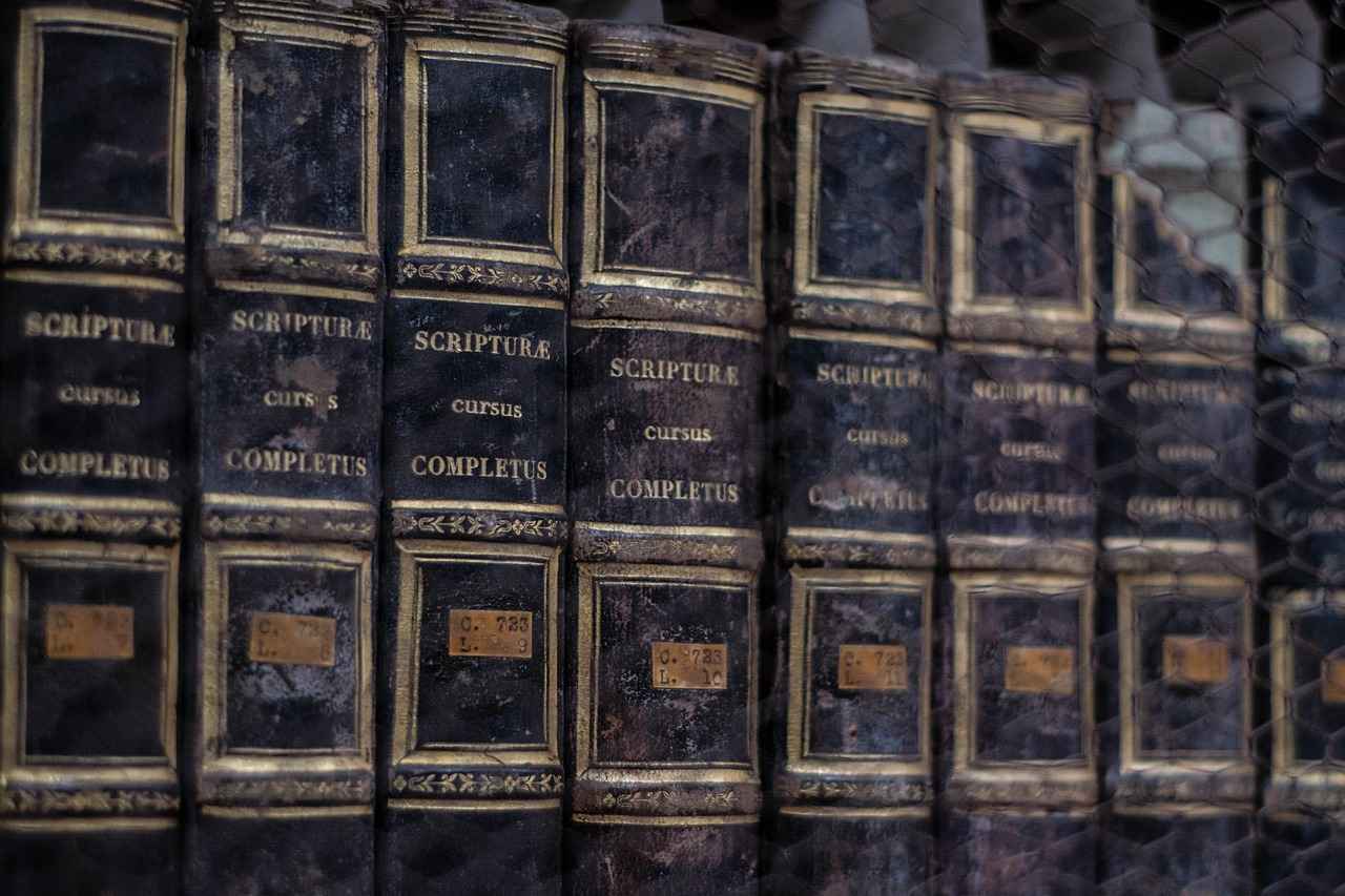 How to Choose the Right Bookshelf for Your Space?