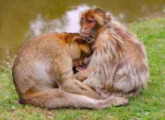 How to Secure Your Smart Home Devices from Hackers How to Secure Your Smart Home Devices from Hackers