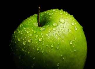 How to Shed Water Weight Fast: Easy Tips How to Shed Water Weight Fast: Easy Tips