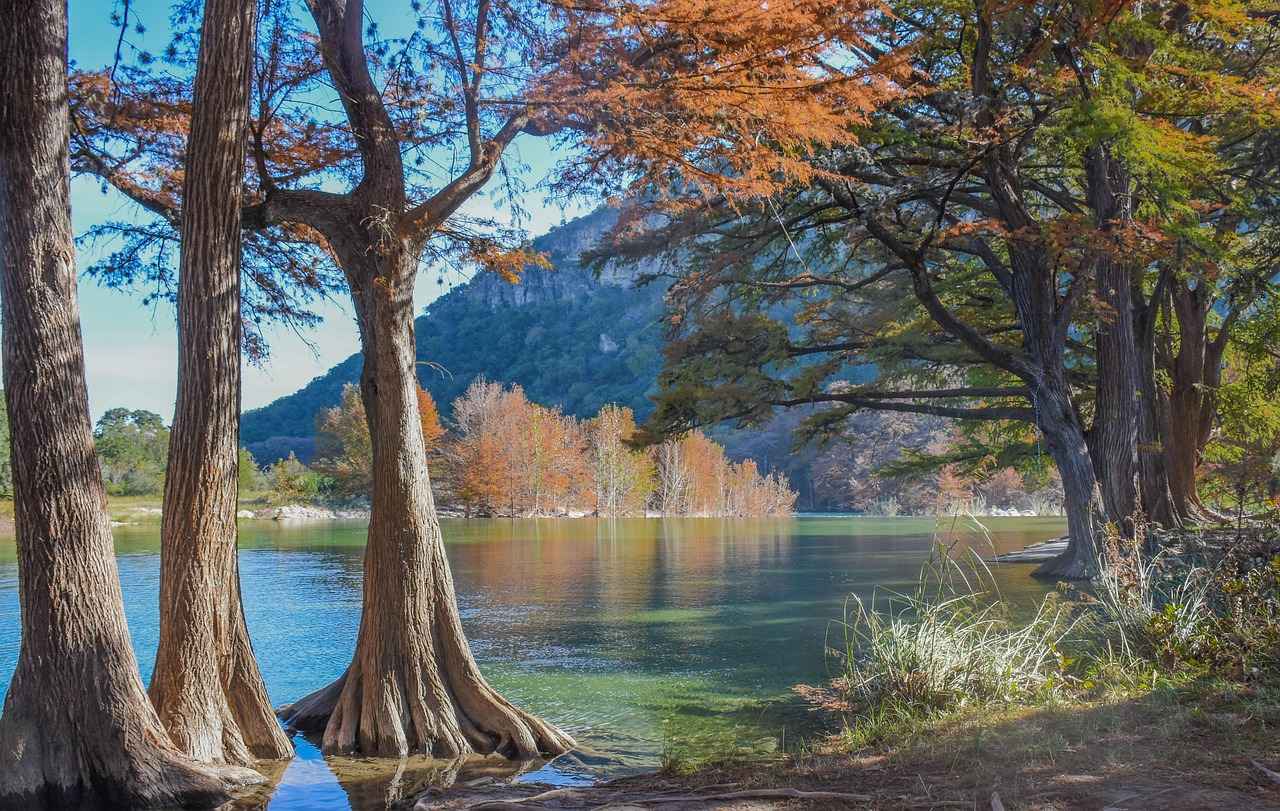 Tips for Optimizing Your Streaming Experience