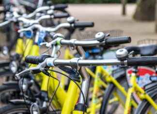 How to Test Ride and Buy the Best Electric Bike for Your Needs How to Test Ride and Buy the Best Electric Bike for Your Needs