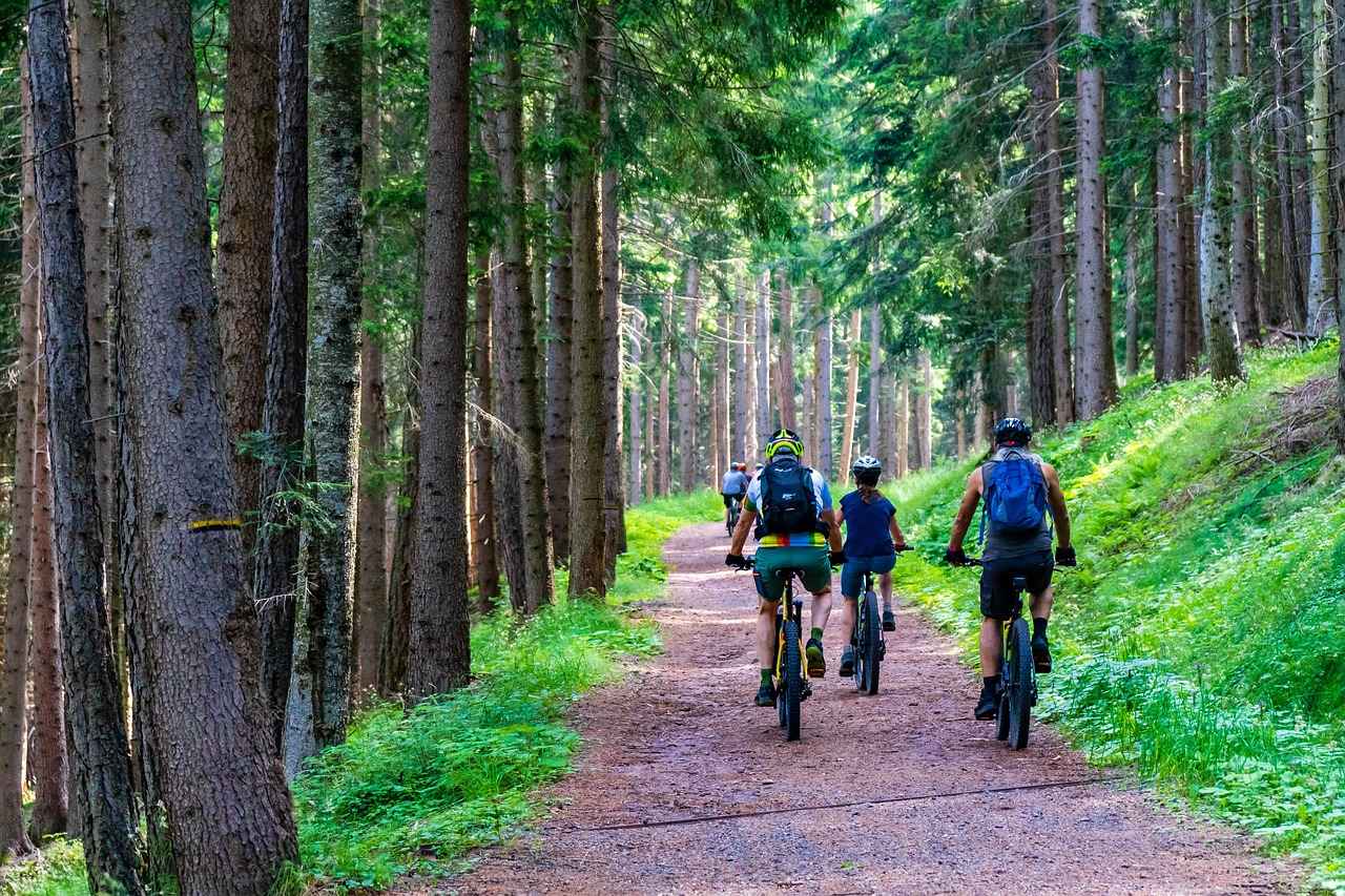 Understanding Electric Bike Conversion Kits