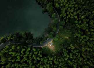 How to Use a Cell Phone Holder for Your Car Safely How to Use a Cell Phone Holder for Your Car Safely