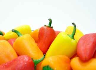 How to Use a Vegetable Chopper to Save Time and Energy How to Use a Vegetable Chopper to Save Time and Energy