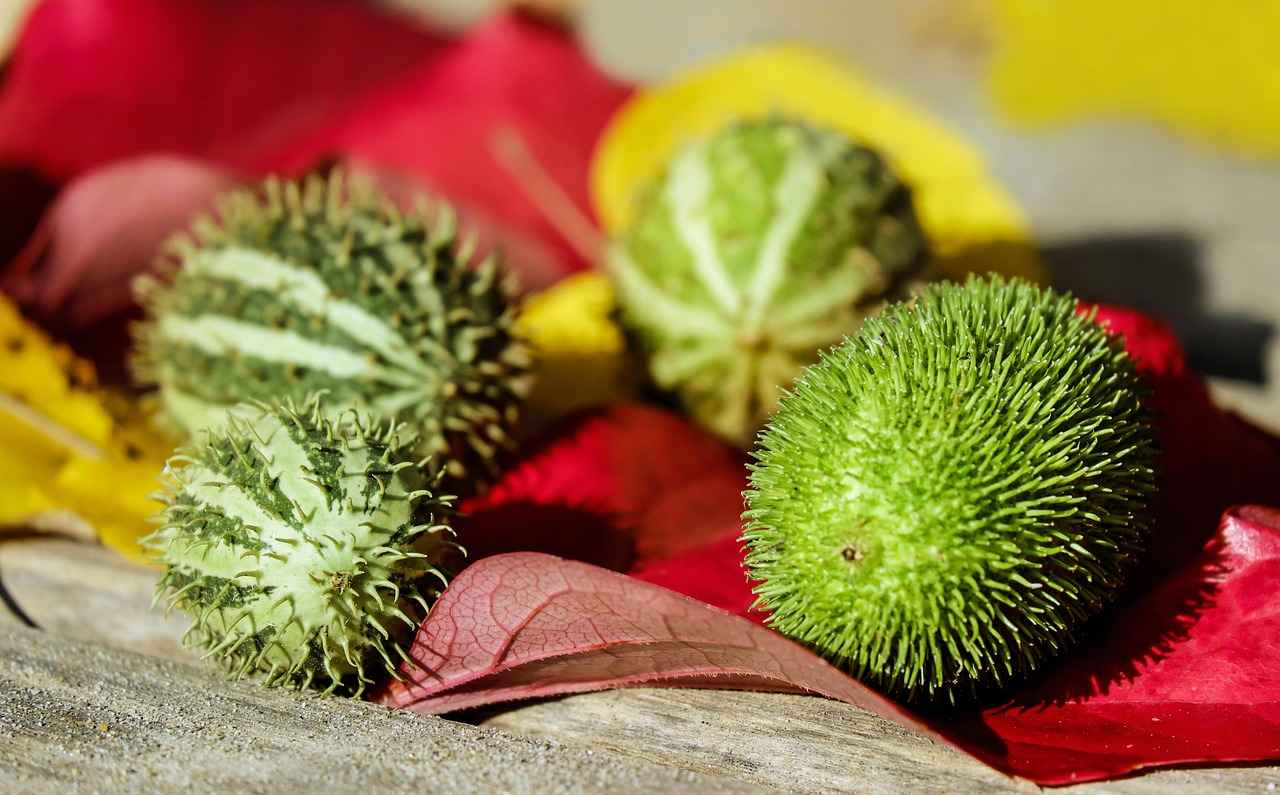 How to Set Up a VPN for Streaming