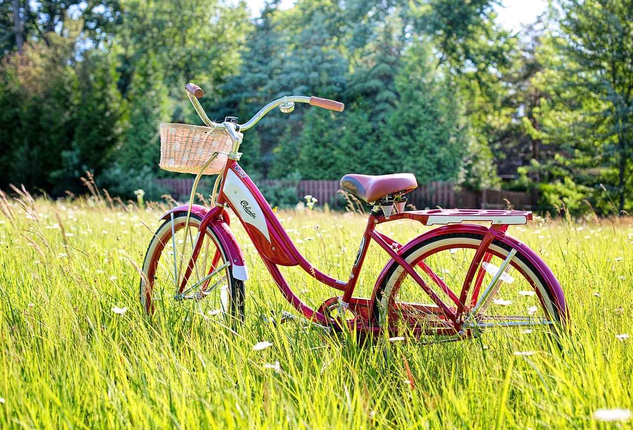 Choosing the Right Electric Bike