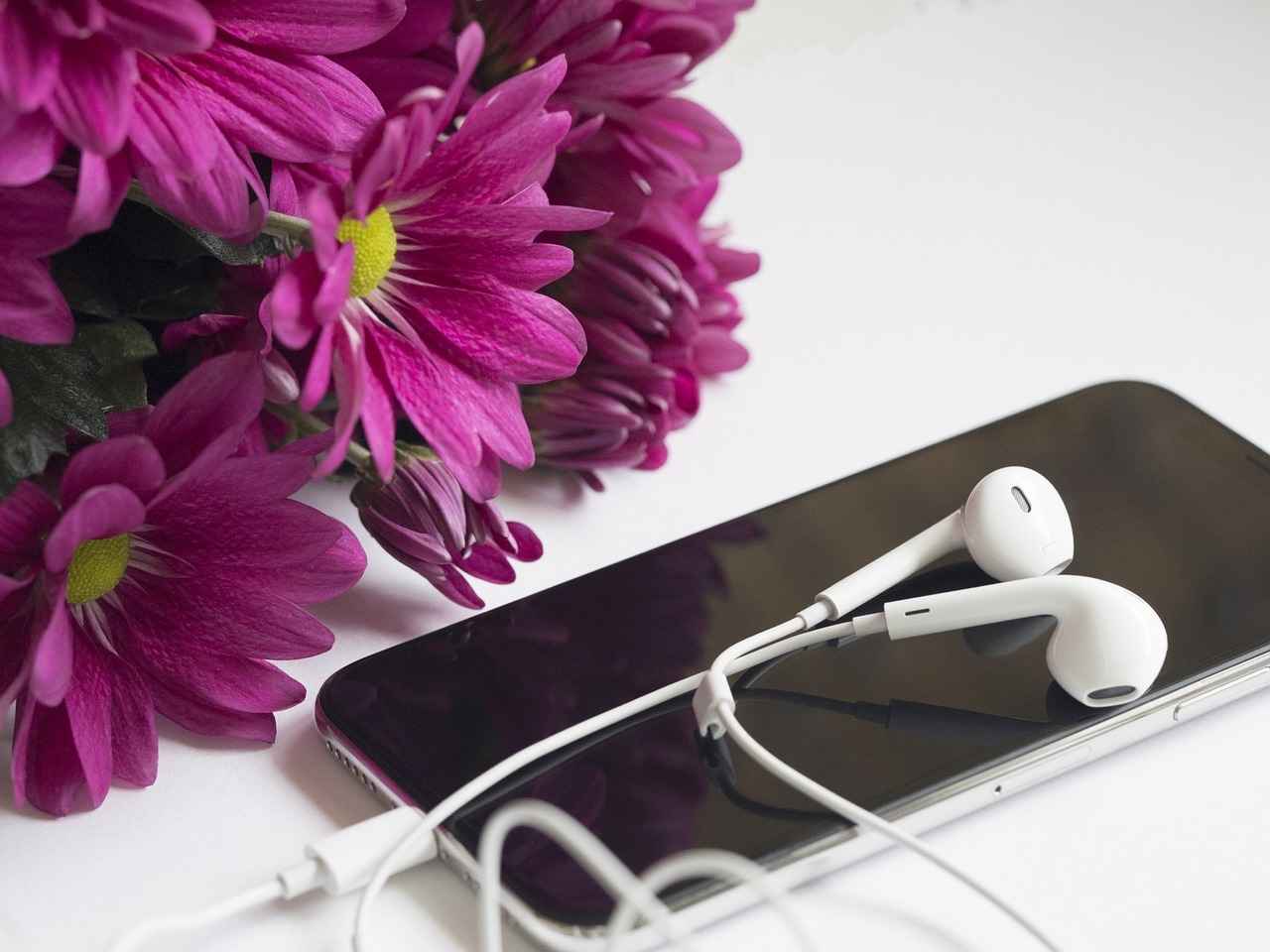 Identifying the Right Blogs for Guest Posting