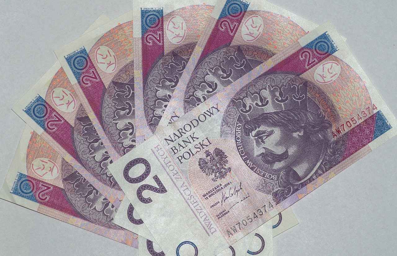How to Use the Best Payday Loan Calculator to Understand Your Loan Terms 1 What is a Payday Loan Calculator?