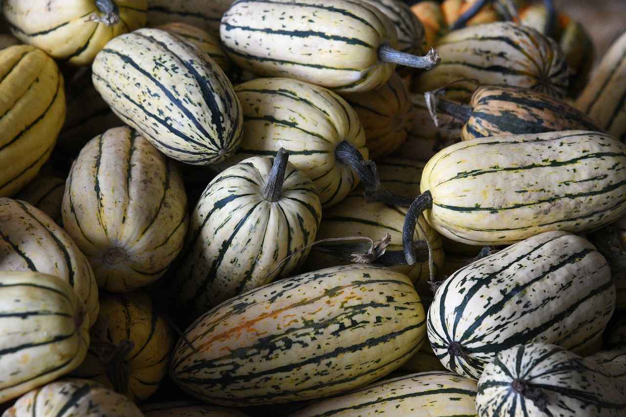 How to Use the Best Vegetable Choppers for Your Daily Cooking Needs 5 5. Cleaning and Maintenance Tips for Vegetable Choppers