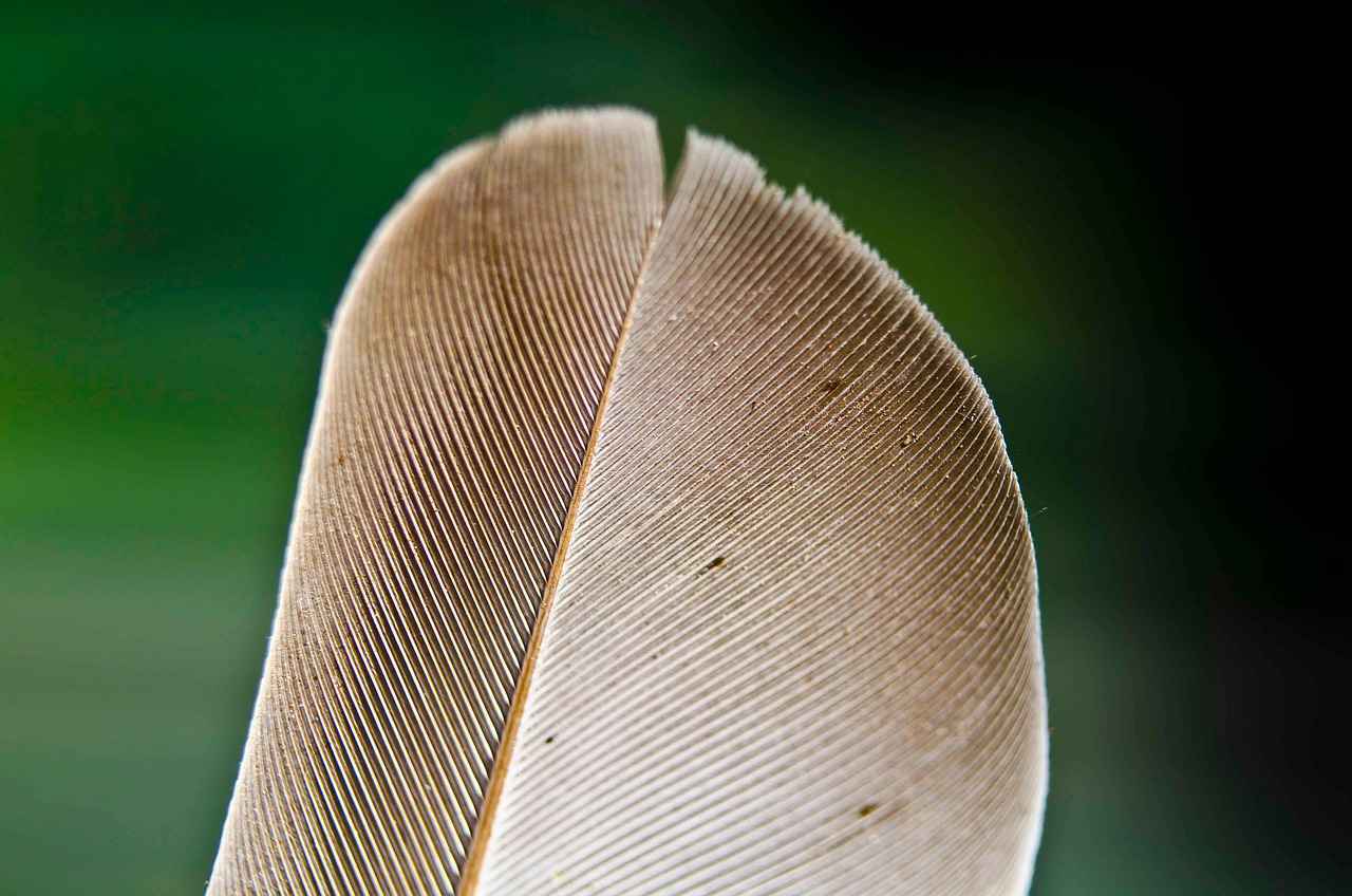 How to Use the Tip Screen Feature Like a Pro 6 Expert Tips for Mastering the Tip Screen Feature