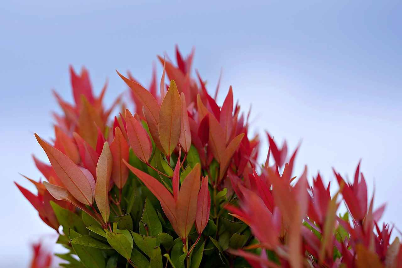 How to Use the Tip Screen Feature Like a Pro 3 How to Access the Tip Screen Feature