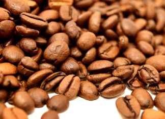 How to Use Your Aeropress Go Portable Coffee Maker for Perfect Brews How to Use Your Aeropress Go Portable Coffee Maker for Perfect Brews