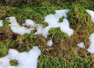 How to Watch March Madness Live: Best Free & Paid Options How to Watch March Madness Live: Best Free & Paid Options