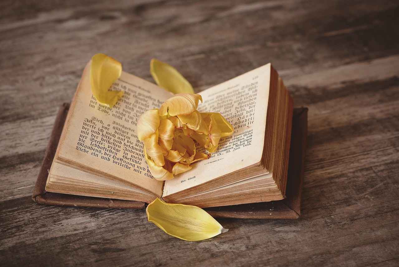 Promoting Your Guest Post After Publication