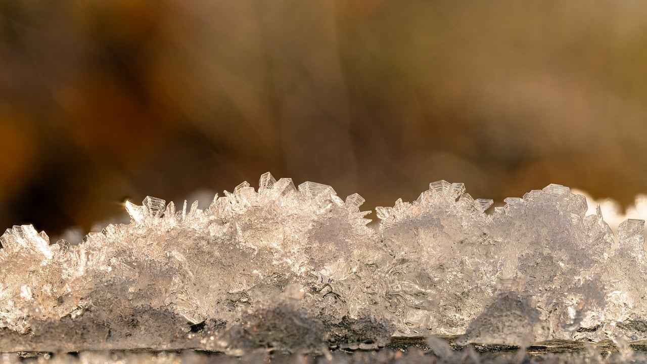 Understanding Ice Porn Casting