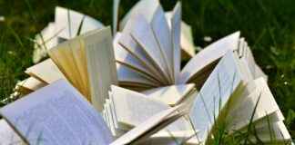 Icebreaker Book Questions: Best Topics for Your Next Book Club Icebreaker Book Questions: Best Topics for Your Next Book Club