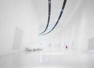 IKEA Room Dividers: Are They Worth the Hype? IKEA Room Dividers: Are They Worth the Hype?