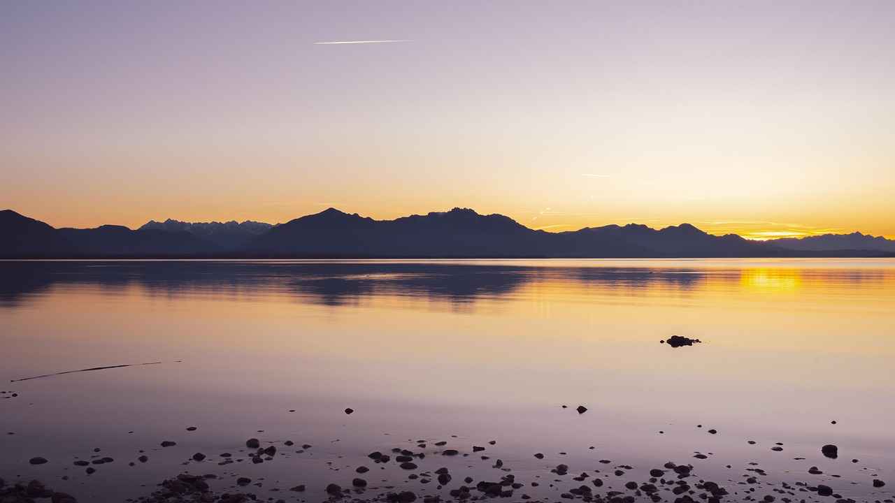 Visual Quality and User Engagement