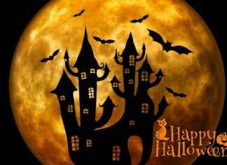 IMDb Top Halloween Movies for Kids: Must-Watch Spooky Films IMDb Top Halloween Movies for Kids: Must-Watch Spooky Films