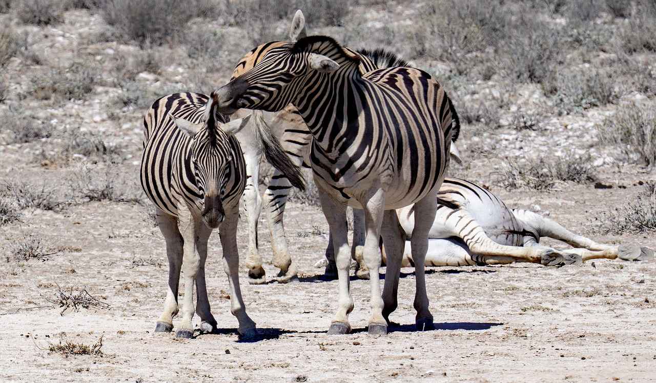 Indianapolis Colts vs. Tennessee Titans: Game Recap and Player Insights 7 Looking Ahead: Future Matchups