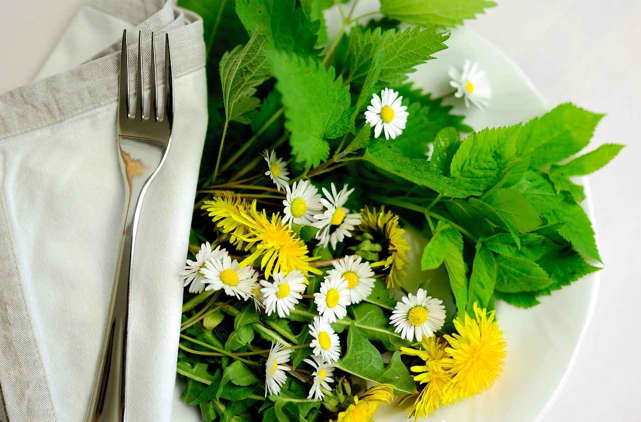 What Types of Edibles Can I Find at Greenlight Dispensary?